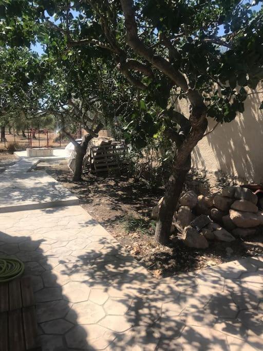 Πέτρινη Κατοικία Στην Αίγινα - Stone House In Aigina Khloi Exterior foto